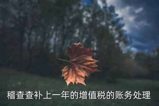 稽查補(bǔ)什么稅，請(qǐng)問(wèn)被國(guó)稅局稽查局查處補(bǔ)交增值稅所得稅及滯納金計(jì)入應(yīng)哪個(gè)科目