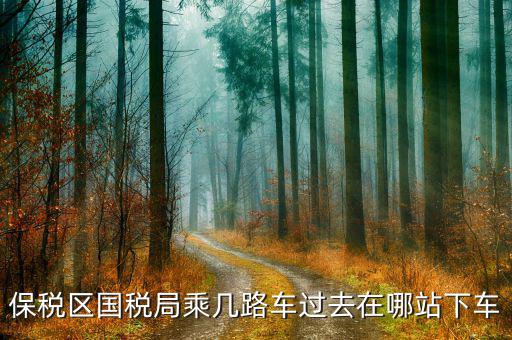 深圳市保稅區(qū)地稅局做什么車，深大北門到深圳市保稅區(qū)地稅局怎么走