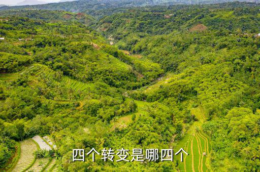 四個轉(zhuǎn)變是什么   稅收，詳細介紹一下四種流轉(zhuǎn)稅