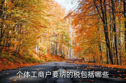 個(gè)體戶需要交什么稅，個(gè)體工商戶需要鈉哪些稅呢