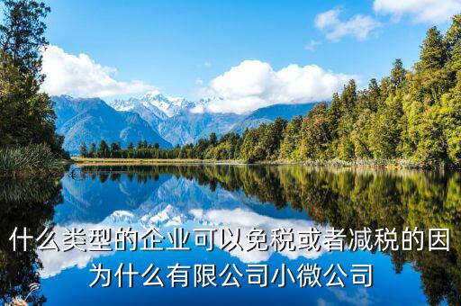 什么樣企業(yè)免交增值稅，免交增值稅的有哪些