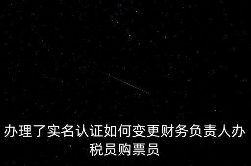 辦理了實(shí)名認(rèn)證如何變更財(cái)務(wù)負(fù)責(zé)人辦稅員購票員