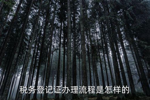 稅務登記證辦理流程是怎樣的