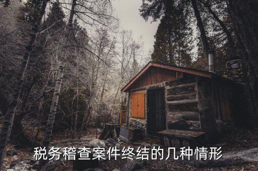 什么是稽查結(jié)案，稅務(wù)稽查案件終結(jié)的幾種情形