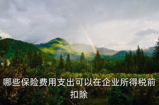 什么保險(xiǎn)可以稅前扣除，哪些保險(xiǎn)費(fèi)用支出可以在企業(yè)所得稅前扣除
