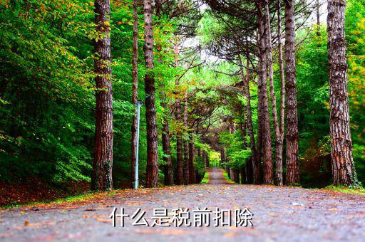 什么是專項稅前扣除，個稅app中的專項扣除什么意思