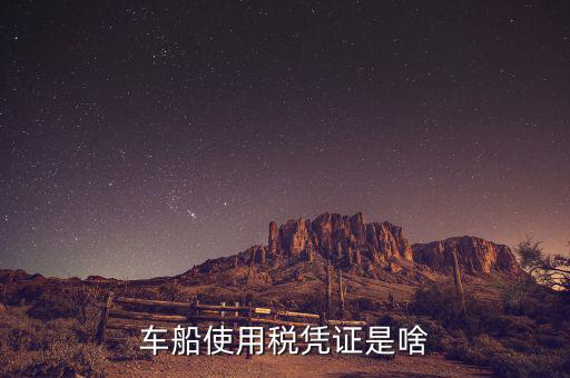 車船稅繳納憑證是什么意思，車船使用稅憑證是啥