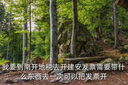 建安開票要提供什么，在國稅局開建安發(fā)票需要提交什么資料