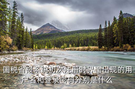 網(wǎng)上辦稅登入名是什么，稅務(wù)用戶名是什么啊