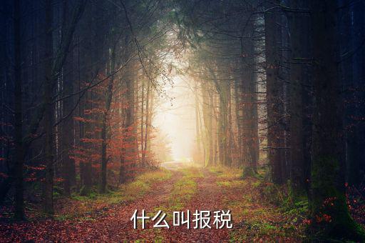 云廳報稅是什么，手機報稅需要使用什么系統(tǒng)呢