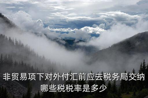 為什么非貿(mào)易付匯要繳稅，公司剛剛做了筆非貿(mào)易付匯紅利股息匯出問一下匯出金額是要扣
