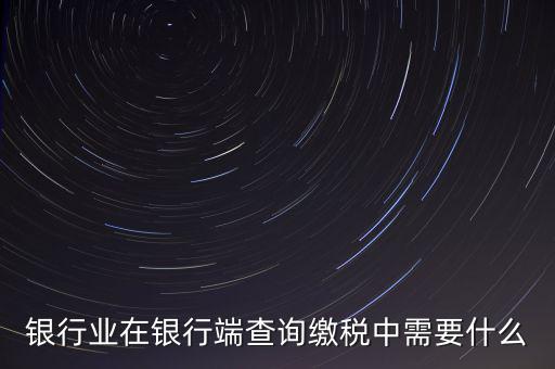 銀行端查詢繳稅要帶些什么，銀行業(yè)在銀行端查詢繳稅中需要什么