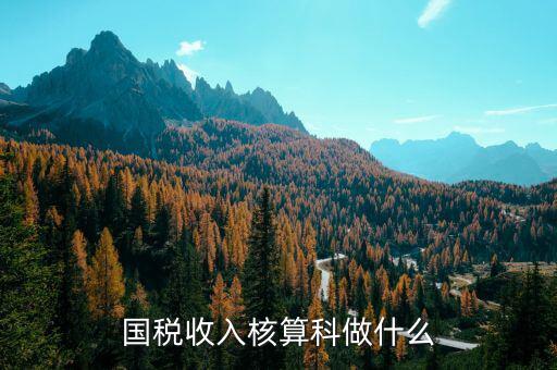 收入規(guī)劃核算處做什么的，收入核算是做什么的