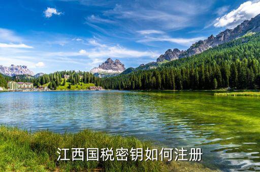 江西國(guó)稅密鑰是什么意思，為啥江西國(guó)稅的CA密鑰總是裝不成功