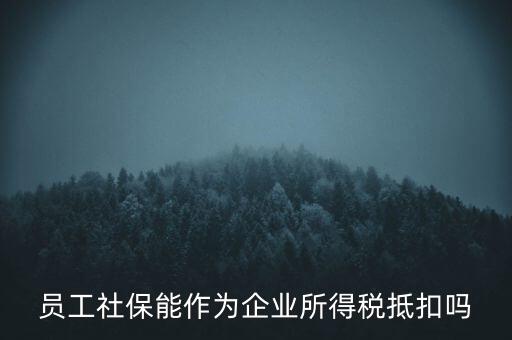 企業(yè)社保可以抵什么稅，員工社保能作為企業(yè)所得稅抵扣嗎