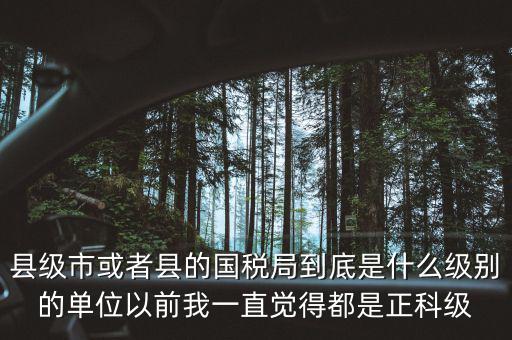 縣國(guó)稅局辦稅服務(wù)廳主任是什么級(jí)別，縣地稅局辦公室主任是什么行政級(jí)別