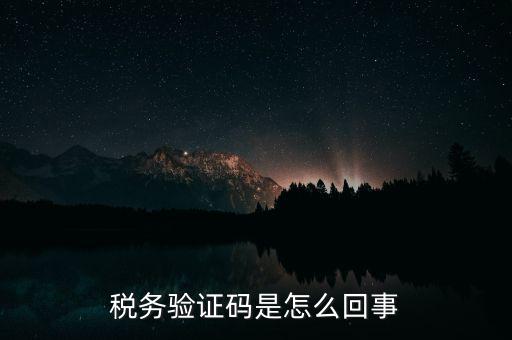 網(wǎng)上稅務局下載碼是什么意思，湖北省電子稅務局下載uk驅(qū)動二維碼是什么意思