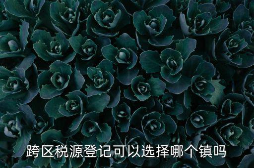 跨區(qū)稅源登記是什么，跨區(qū)稅源登記能否登記為一般納稅人