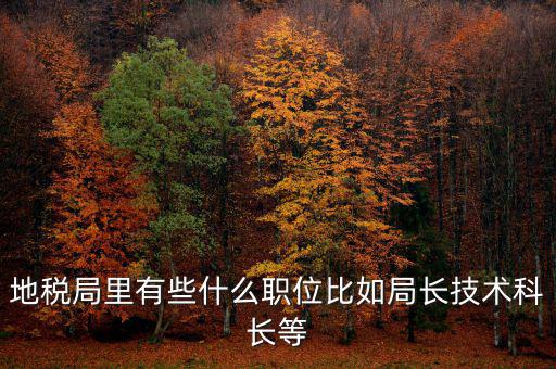 地稅局有什么委員，地級市稅務局辦公室副主任屬什么級別的官員