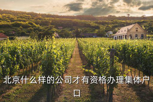 什么事北京千戶集團企業(yè)，千氏北京房地產(chǎn)經(jīng)紀(jì)有限公司