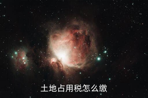 土地占用繳納什么稅，土地使用占用稅是什么