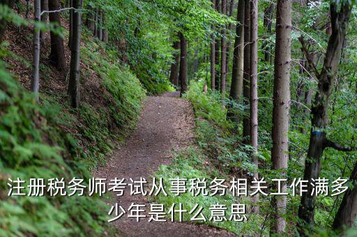 稅務(wù)從業(yè)人數(shù)是什么意思，請問稅務(wù)自查表中的查 數(shù)是什么意思急