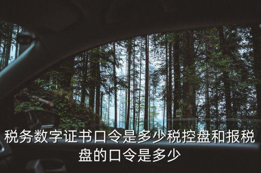 國稅證書口令是什么，我想問下國家稅務(wù)網(wǎng)上申報點擊安全登錄時出現(xiàn)的用戶口令是什么