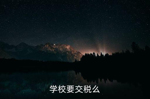 民辦學(xué)校交什么稅，你好我想問問民辦學(xué)?？梢砸髮W(xué)生補(bǔ)課嗎把補(bǔ)課的錢作為必交費(fèi)