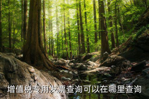 什么地方可以查發(fā)票內(nèi)容，怎樣通過發(fā)票號碼查尋發(fā)票內(nèi)容
