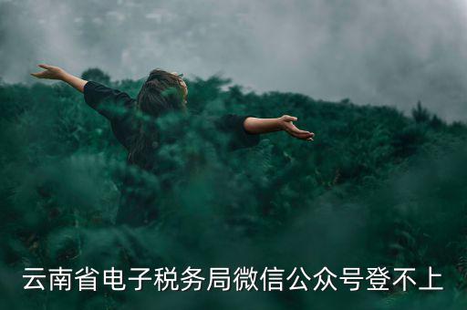 為什么云南省國家稅務(wù)局進(jìn)不去，云南省電子稅務(wù)局微信公眾號(hào)登不上