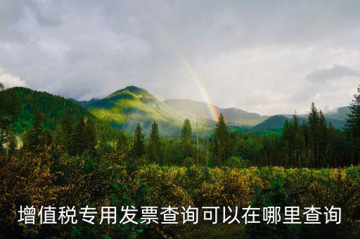 在什么網(wǎng)站查發(fā)票，發(fā)票查驗(yàn)在哪里查