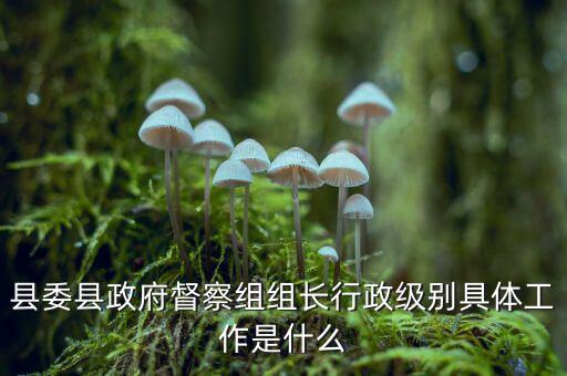 縣委縣政府督察組組長(zhǎng)行政級(jí)別具體工作是什么