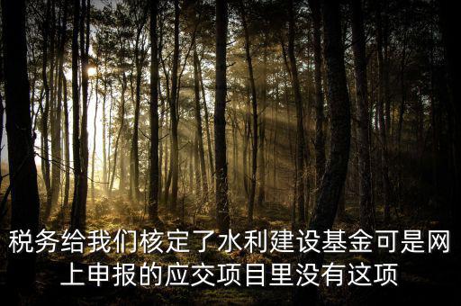為什么水利建設(shè)無法申報，地稅電子稅務(wù)局的水利基金下滑找不到申報怎么辦