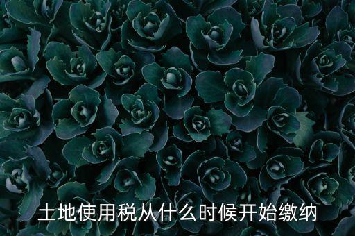 土地使用稅什么時候開始交，什么時候開始繳納房產(chǎn)稅和土地使用稅是否都要繳納