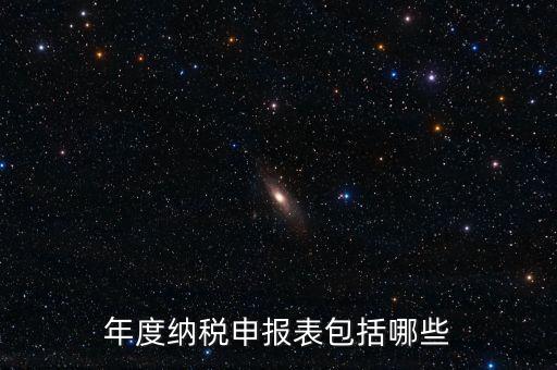 什么是年度納稅申報(bào)表，年度納稅申報(bào)表包括哪些