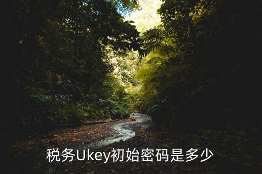 稅務Ukey初始密碼是多少