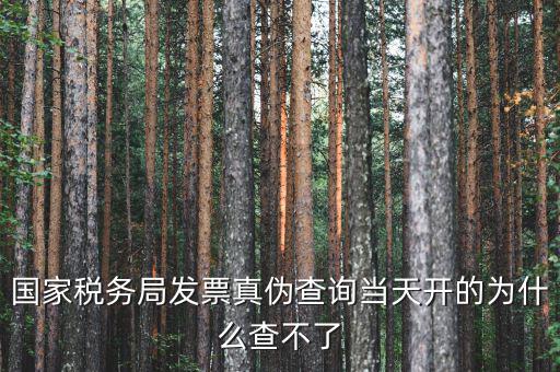 國(guó)家稅務(wù)局發(fā)票真?zhèn)尾樵儺?dāng)天開(kāi)的為什么查不了