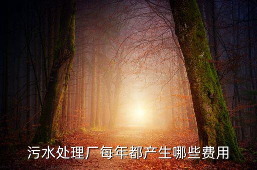 污水處理廠(chǎng)每年都產(chǎn)生哪些費(fèi)用