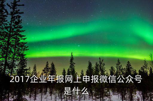 企業(yè)申報(bào)客戶端是什么意思，2017企業(yè)年報(bào)網(wǎng)上申報(bào)微信公眾號(hào)是什么