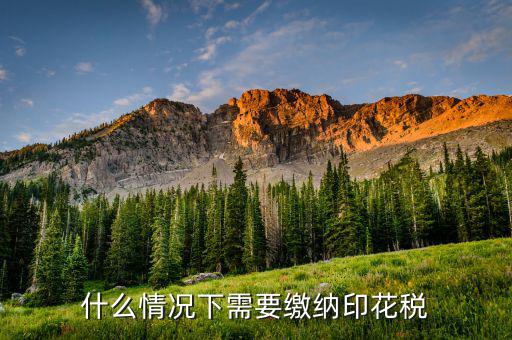 什么需要交印花稅，哪些企業(yè)和個(gè)人需要交納印花稅的