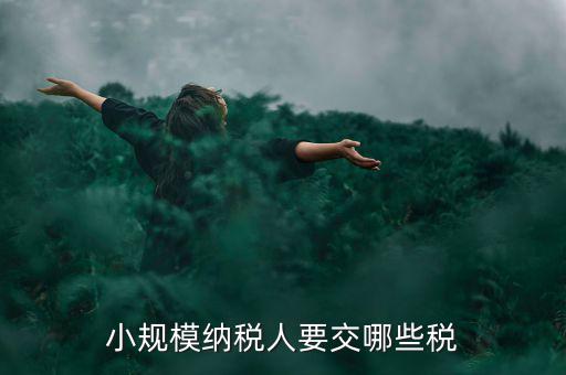 小規(guī)模納稅人報什么稅，小規(guī)模納稅人要交哪些稅