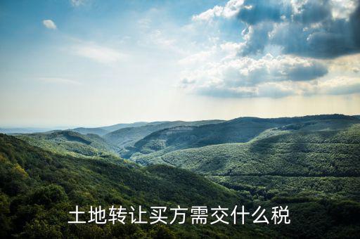 土地轉讓買方需交什么稅