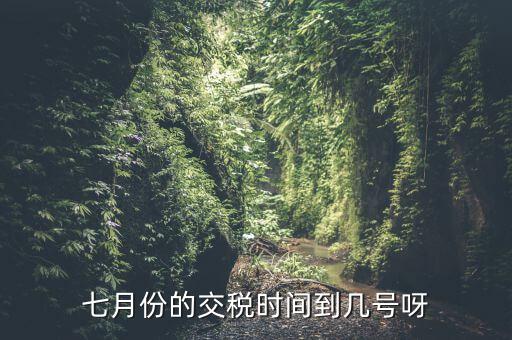 福建地稅7月報稅到什么時候，請問7月份國稅地稅的征期截止到哪天
