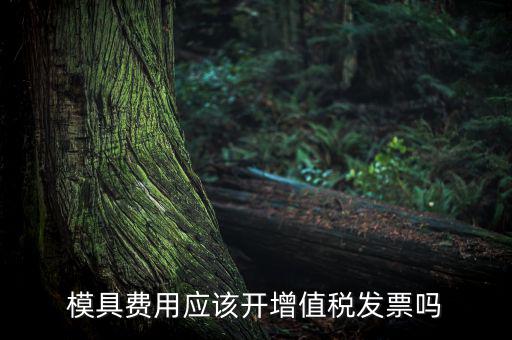 模具設(shè)計開發(fā)費開什么發(fā)票，模具開發(fā)及制造費一般開什么發(fā)票明細