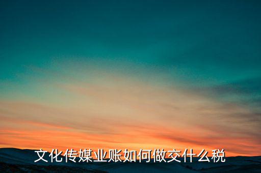 文化傳媒公司交什么稅，開傳媒公司旗下藝人要交哪些稅