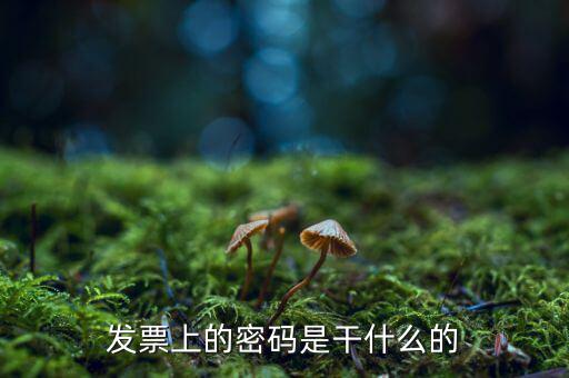湖南汽車發(fā)票密碼是什么意思，發(fā)票上的密碼是做什么用的啊