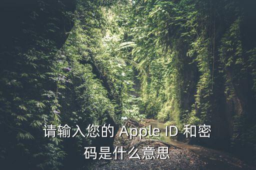 查詢個(gè)稅 密碼是輸入什么，請輸入您的 Apple ID 和密碼是什么意思