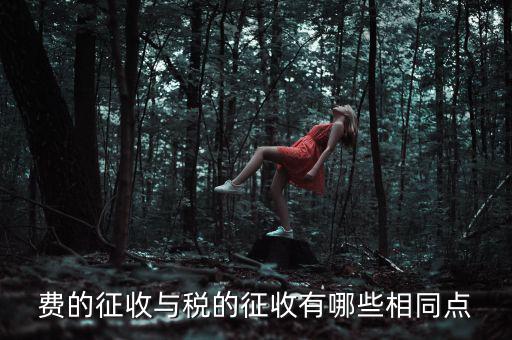 稅與費有什么區(qū)別 稅收具有，費的征收與稅的征收有哪些相同點
