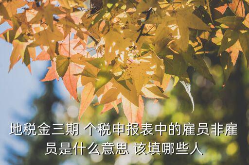 雇員納稅人是什么意思，地稅金三期 個稅申報(bào)表中的雇員非雇員是什么意思 該填哪些人