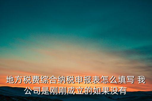 地稅不開票需填什么表，地方稅費綜合納稅申報表怎么填寫 我公司是剛剛成立的如果沒有